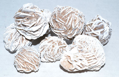 1 Lb Desert Rose